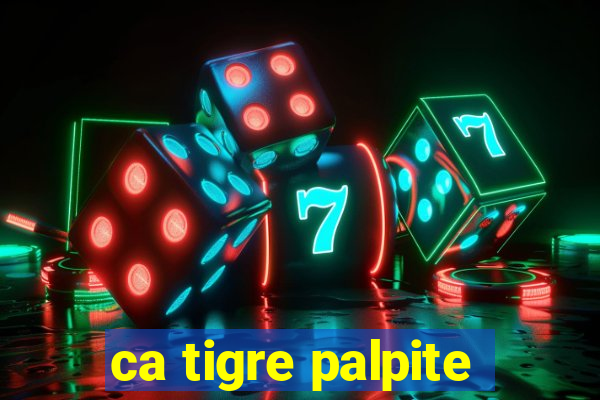 ca tigre palpite